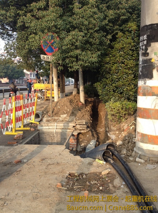 nEO_IMG_毛毛 580.jpg