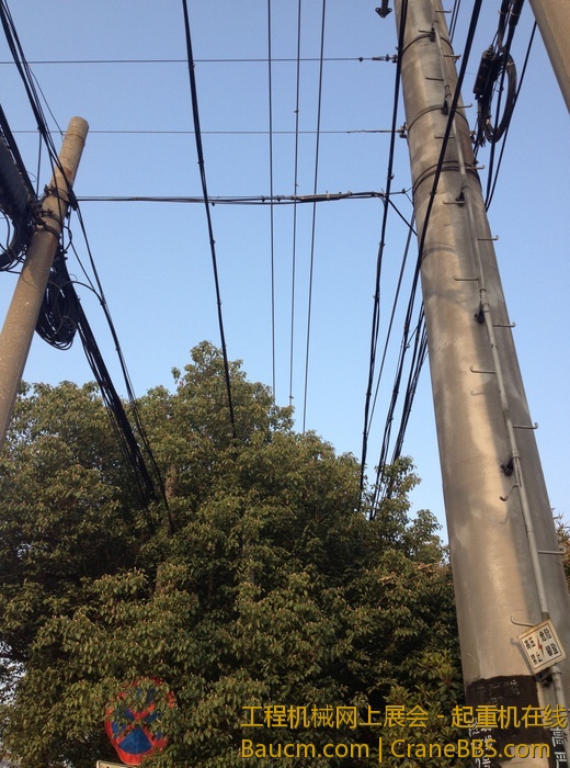 nEO_IMG_毛毛 581.jpg