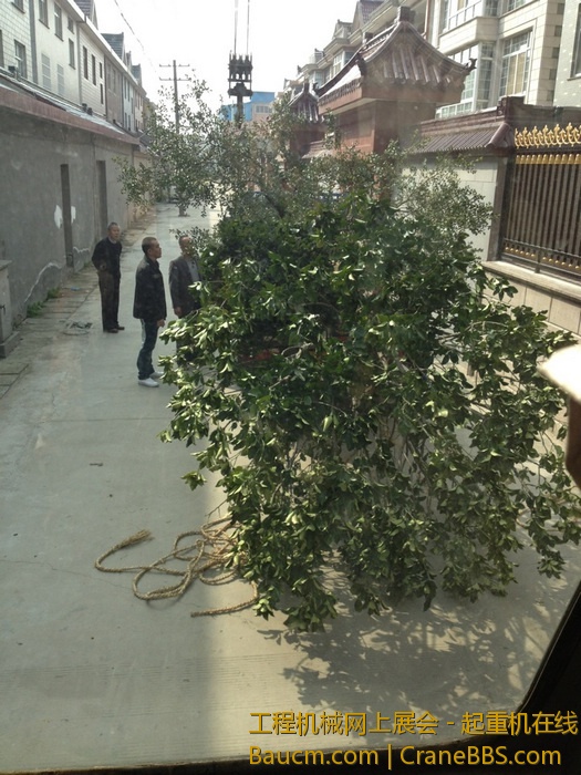 nEO_IMG_毛毛 569.jpg