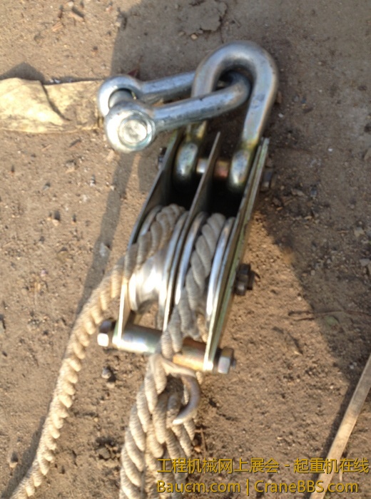 nEO_IMG_毛毛 589.jpg