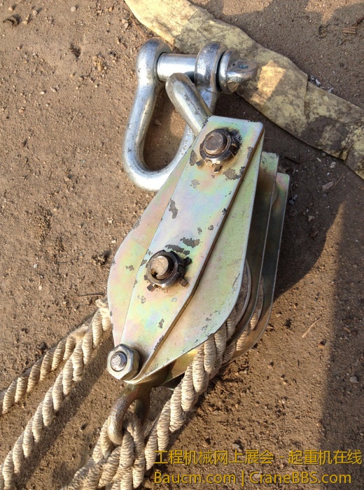 nEO_IMG_毛毛 588.jpg