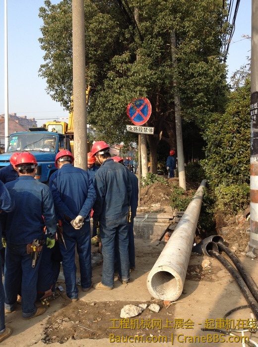 nEO_IMG_毛毛 586.jpg