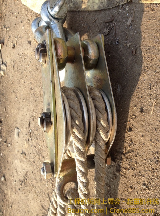 nEO_IMG_毛毛 587.jpg