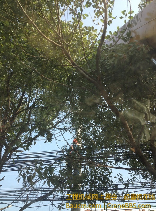 nEO_IMG_毛毛 600.jpg