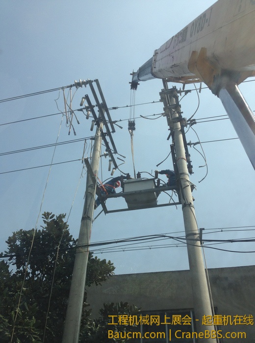 nEO_IMG_毛毛 624.jpg