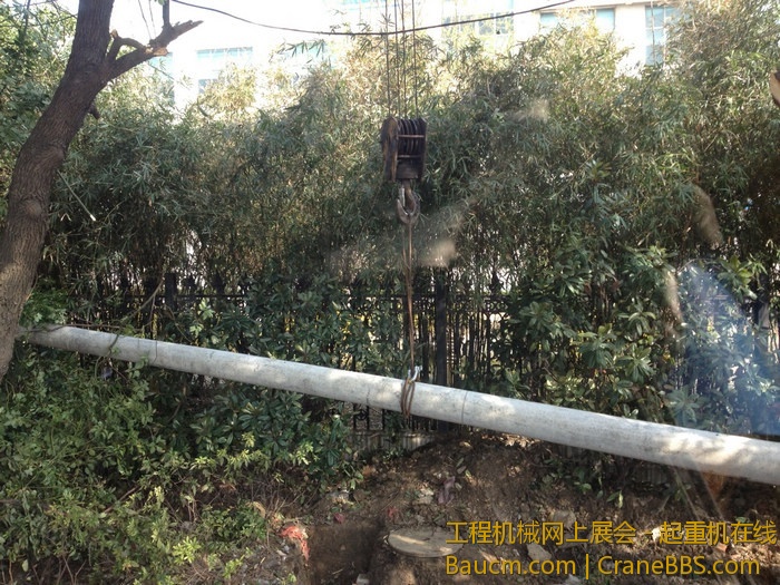 nEO_IMG_毛毛 597.jpg