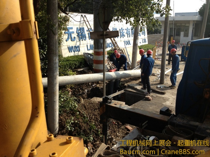 nEO_IMG_毛毛 598.jpg