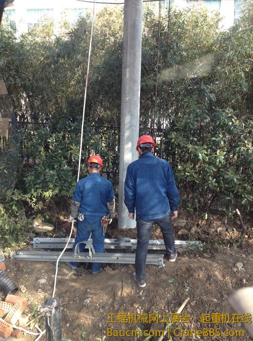 nEO_IMG_毛毛 599.jpg