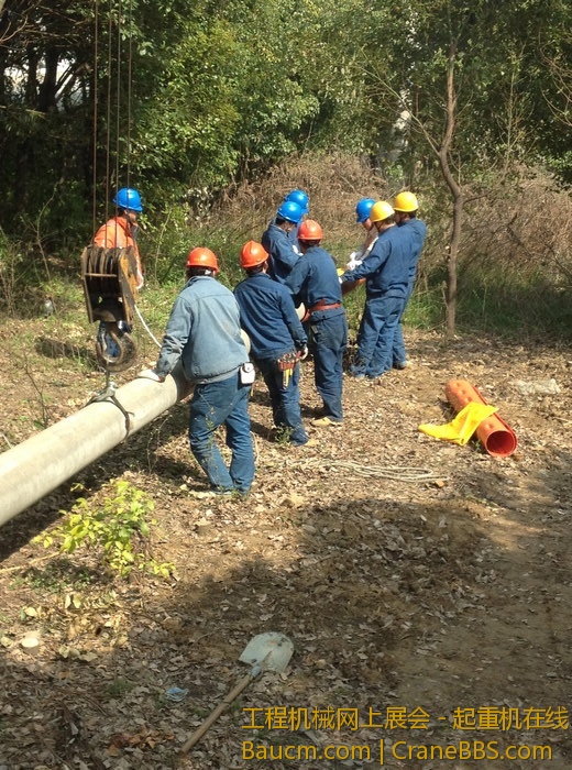 nEO_IMG_毛毛 614.jpg