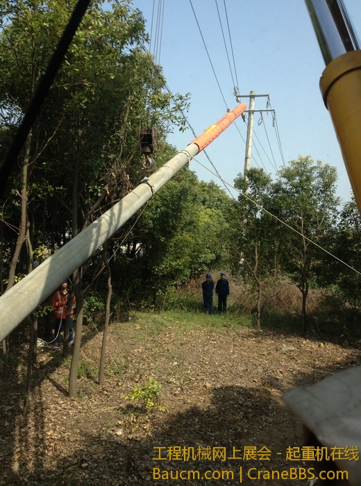 nEO_IMG_毛毛 615.jpg