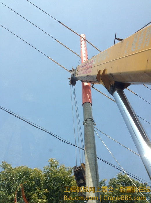 nEO_IMG_毛毛 616.jpg