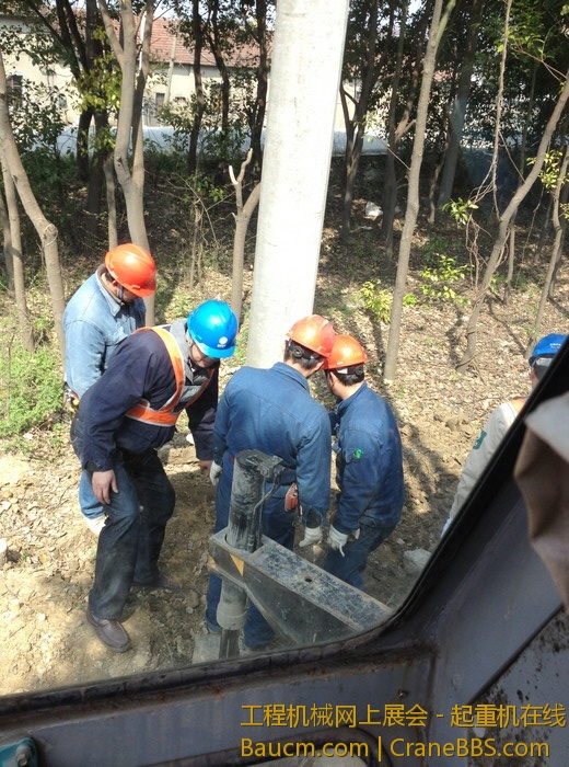 nEO_IMG_毛毛 617.jpg