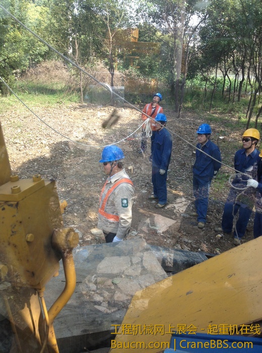 nEO_IMG_毛毛 618.jpg