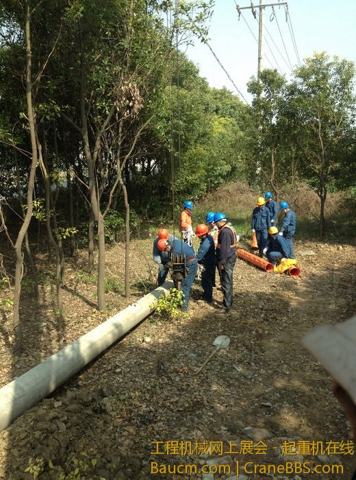 nEO_IMG_毛毛 610.jpg