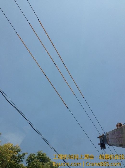 nEO_IMG_毛毛 611.jpg