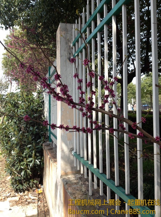 nEO_IMG_毛毛 627.jpg