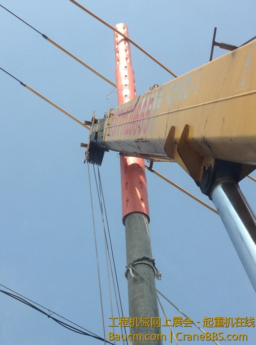 nEO_IMG_毛毛 619.jpg