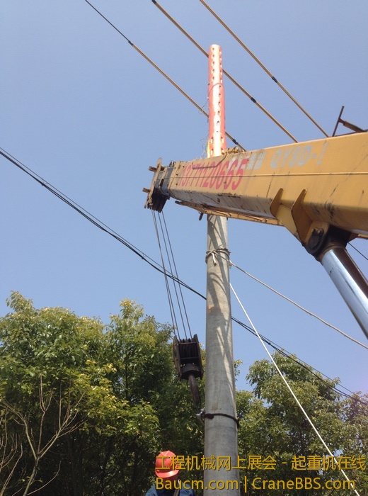 nEO_IMG_毛毛 620.jpg