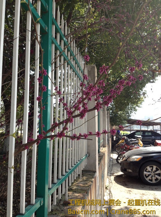 nEO_IMG_毛毛 626.jpg