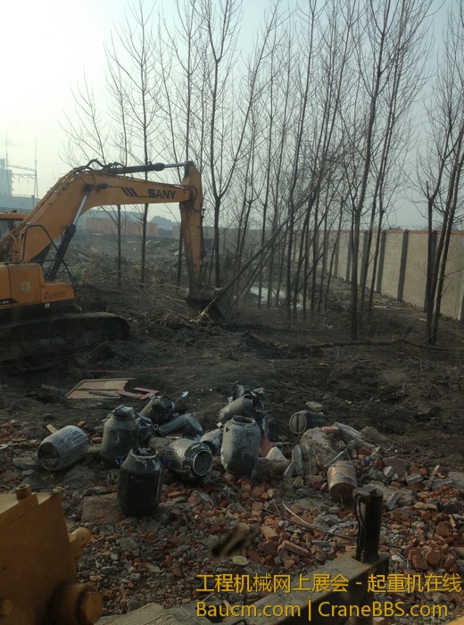 nEO_IMG_毛毛 655.jpg