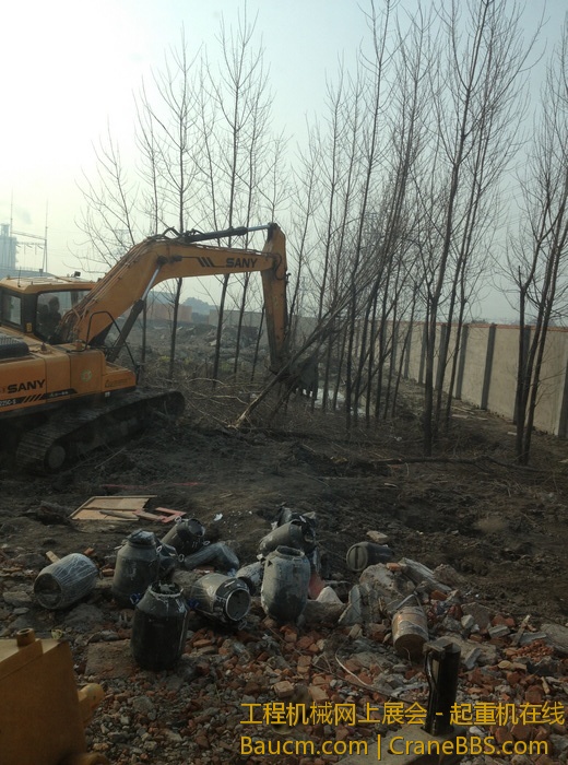 nEO_IMG_毛毛 656.jpg