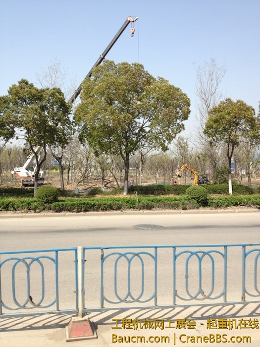 nEO_IMG_毛毛 780.jpg