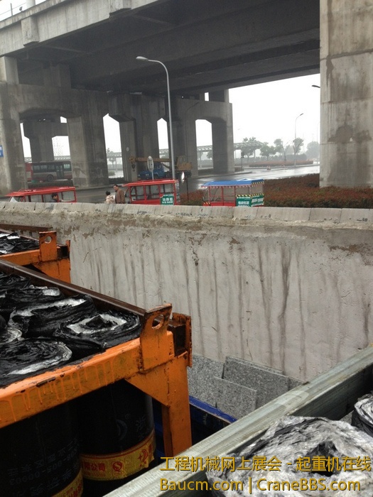 nEO_IMG_毛毛 673.jpg