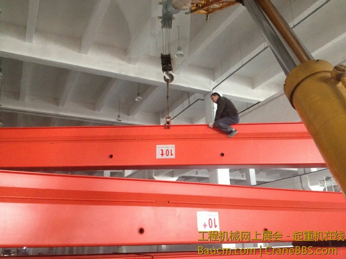 nEO_IMG_毛毛 715.jpg