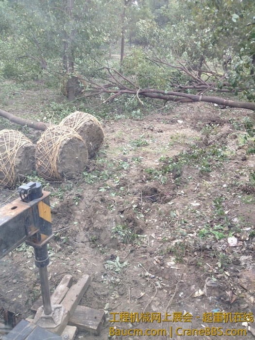 nEO_IMG_毛毛 751.jpg