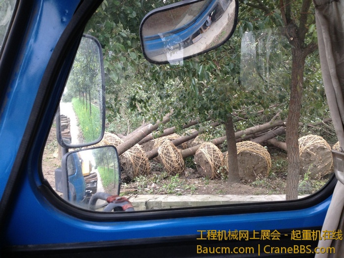 nEO_IMG_毛毛 749.jpg