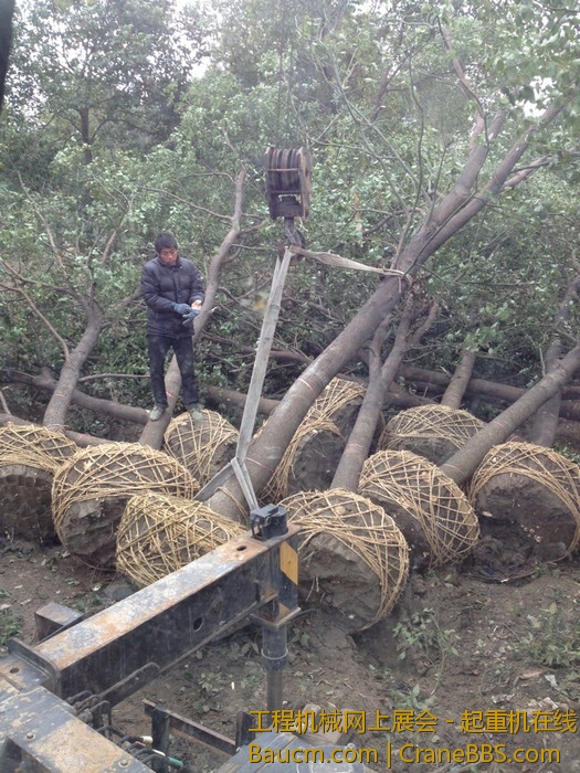 nEO_IMG_毛毛 750.jpg