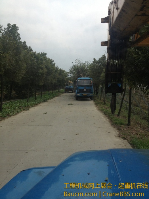 nEO_IMG_毛毛 756.jpg