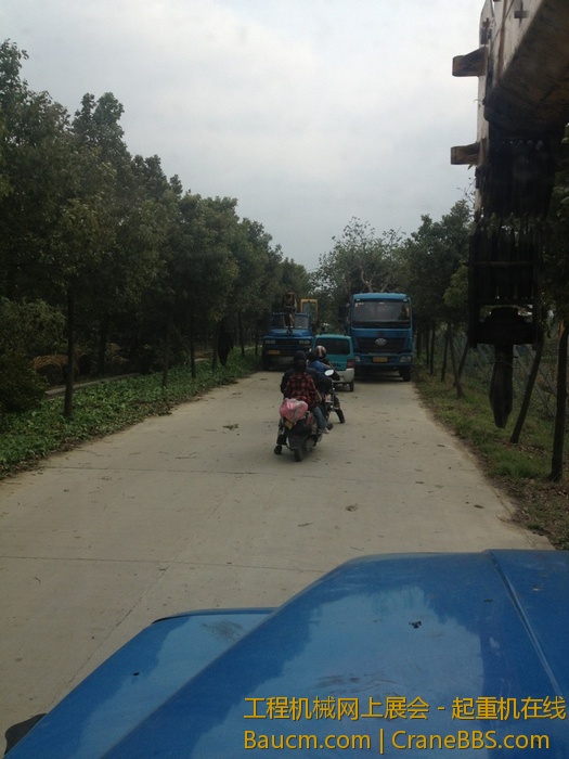 nEO_IMG_毛毛 757.jpg