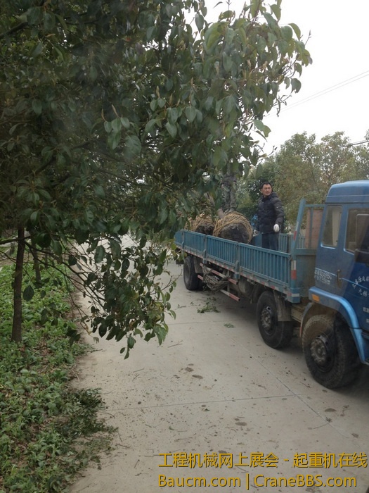 nEO_IMG_毛毛 752.jpg