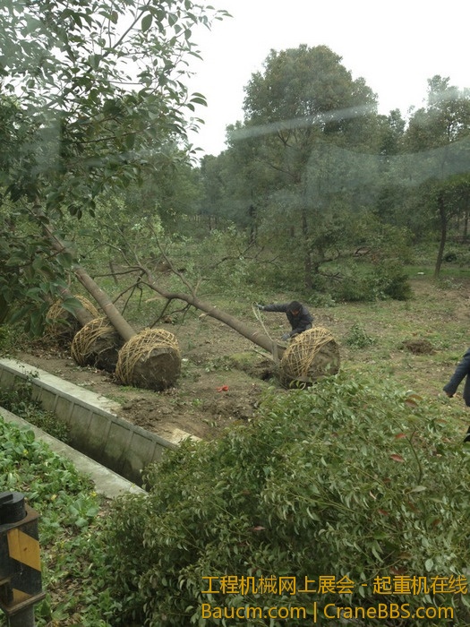 nEO_IMG_毛毛 753.jpg