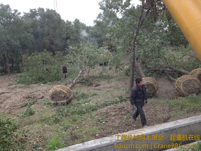 nEO_IMG_毛毛 754.jpg