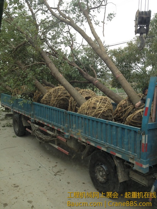 nEO_IMG_毛毛 755.jpg