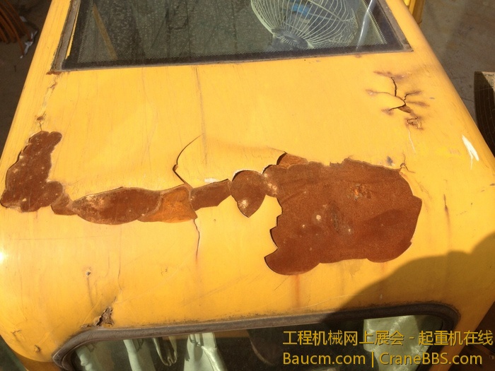 nEO_IMG_毛毛 766.jpg