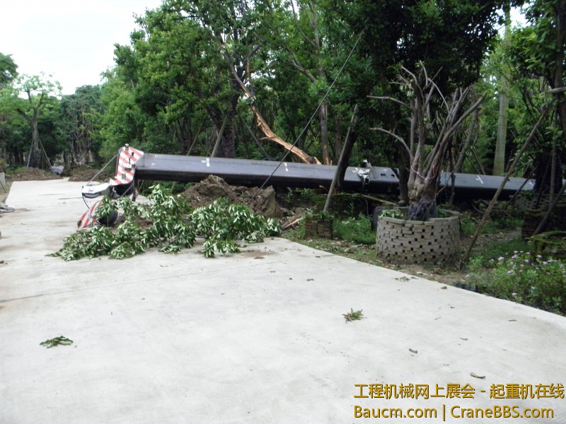 P4261679_1.jpg