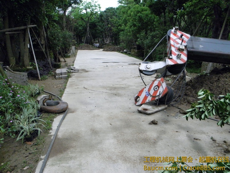 P4261680_1.jpg
