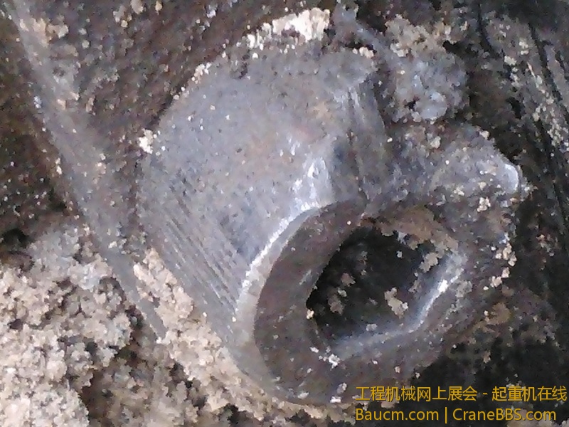 IMG367.jpg