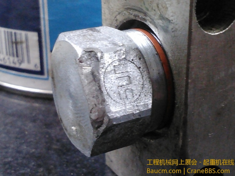 IMG362.jpg