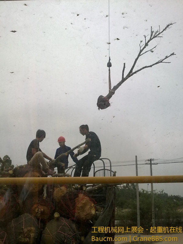 201303271205.jpg