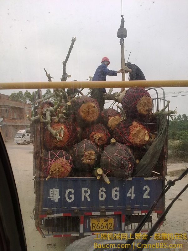 201303271206.jpg