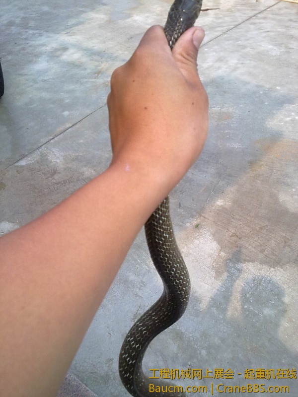 201303281210.jpg