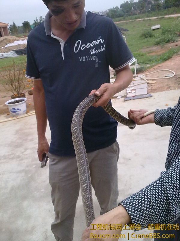 201303281211.jpg