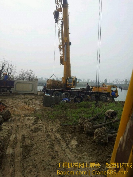 nEO_IMG_毛毛 463.jpg