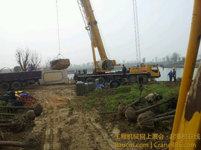 nEO_IMG_毛毛 464.jpg