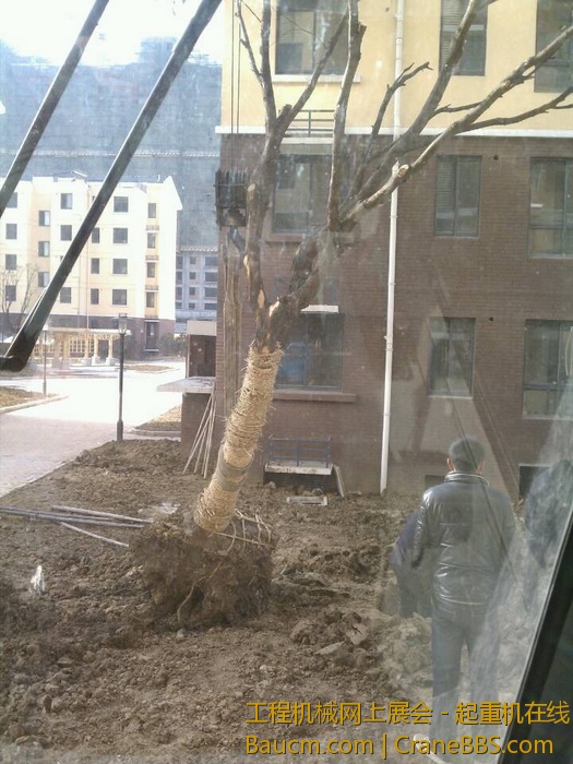 nEO_IMG_毛毛 468.jpg