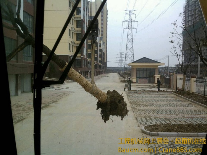 nEO_IMG_毛毛 469.jpg